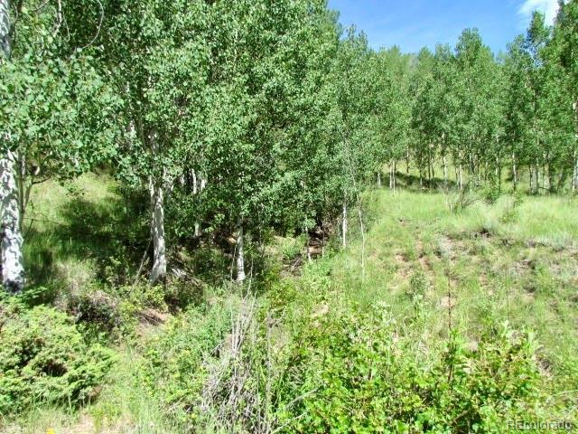 407 El Paso Ct, Cripple Creek, CO 80813 - photo 15