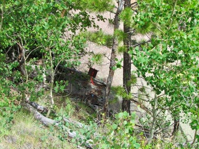 407 El Paso Ct, Cripple Creek, CO 80813 - photo 19
