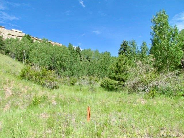 407 El Paso Ct, Cripple Creek, CO 80813 - photo 20