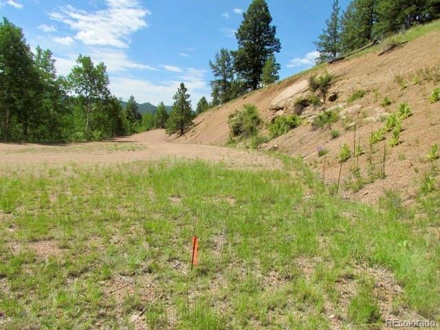 407 El Paso Ct, Cripple Creek, CO 80813 - photo 24