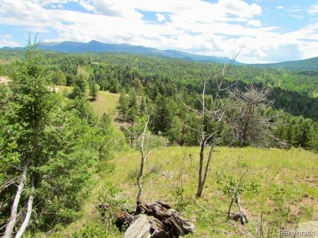 407 El Paso Ct, Cripple Creek, CO 80813 - photo 27