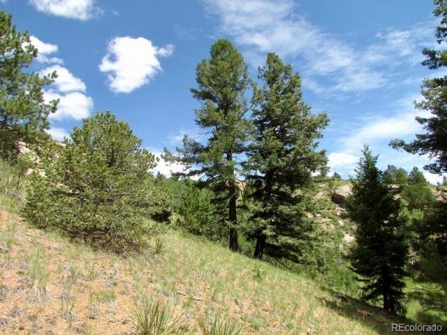 407 El Paso Ct, Cripple Creek, CO 80813 - photo 28