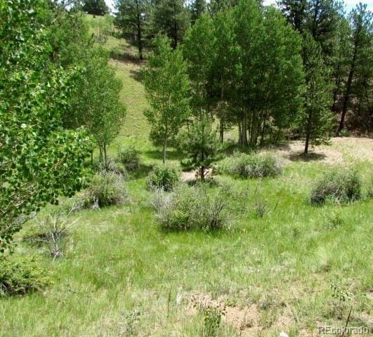 407 El Paso Ct, Cripple Creek, CO 80813 - photo 1