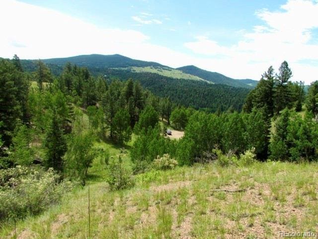 407 El Paso Ct, Cripple Creek, CO 80813 - photo 42