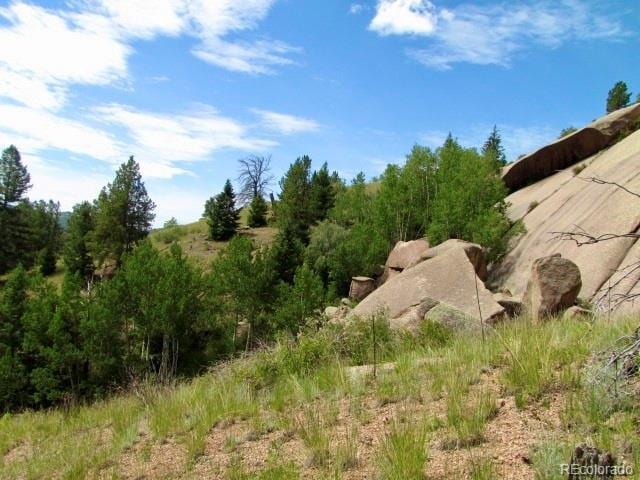 407 El Paso Ct, Cripple Creek, CO 80813 - photo 43