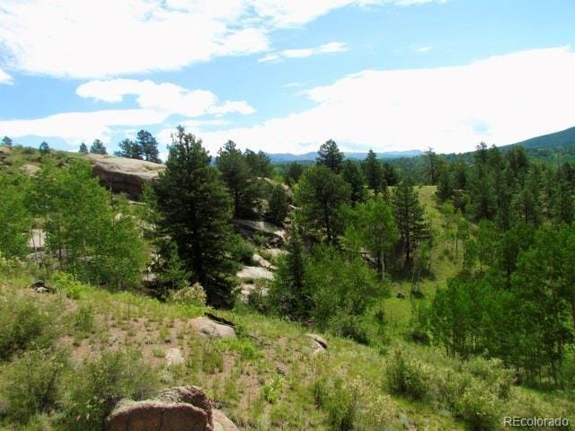 407 El Paso Ct, Cripple Creek, CO 80813 - photo 44