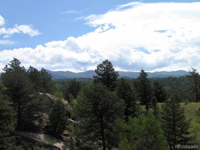 407 El Paso Ct, Cripple Creek, CO 80813 - photo 45
