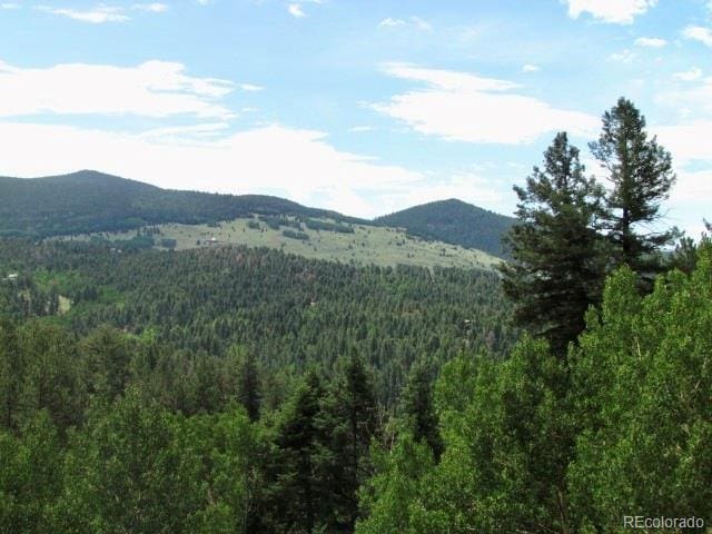 407 El Paso Ct, Cripple Creek, CO 80813 - photo 46