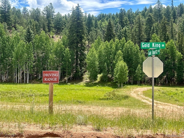 407 El Paso Ct, Cripple Creek, CO 80813 - photo 49