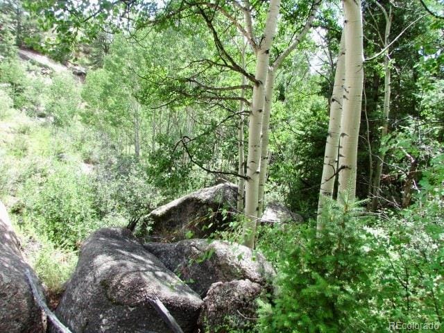 407 El Paso Ct, Cripple Creek, CO 80813 - photo 2