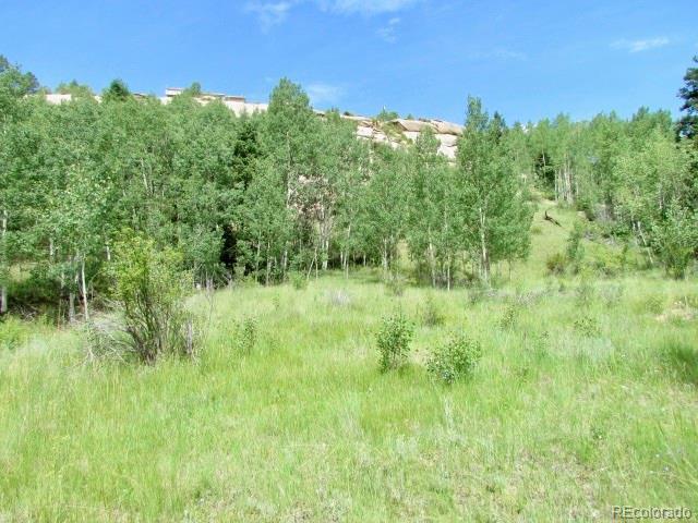 407 El Paso Ct, Cripple Creek, CO 80813 - photo 6