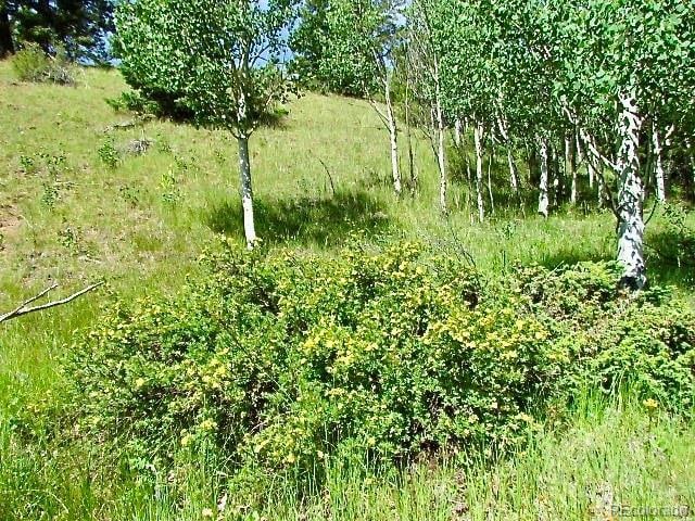 407 El Paso Ct, Cripple Creek, CO 80813 - photo 14