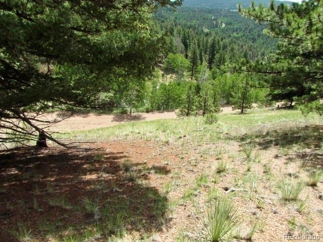 407 El Paso Ct, Cripple Creek, CO 80813 - photo 26