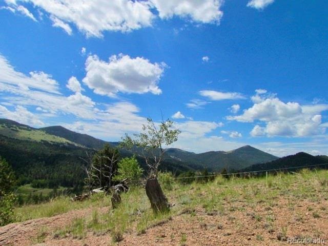 407 El Paso Ct, Cripple Creek, CO 80813 - photo 29