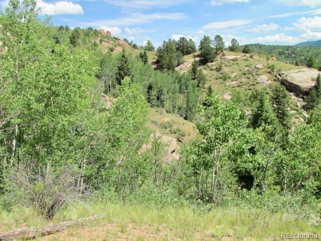 407 El Paso Ct, Cripple Creek, CO 80813 - photo 30