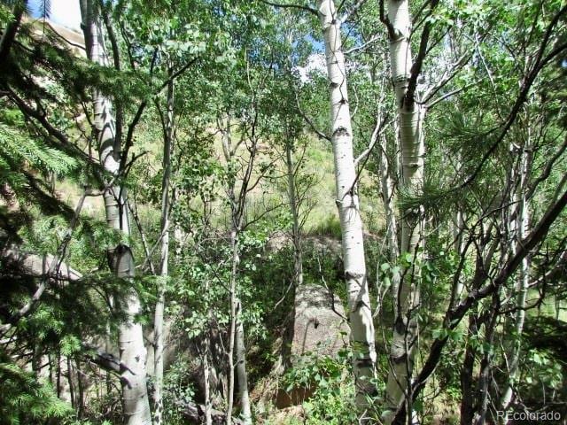 407 El Paso Ct, Cripple Creek, CO 80813 - photo 38