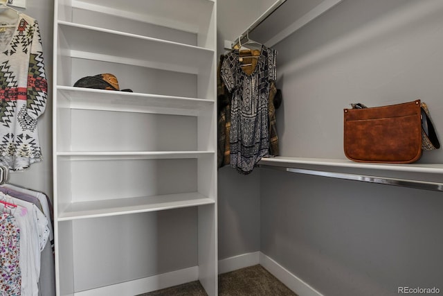 spacious closet with carpet floors