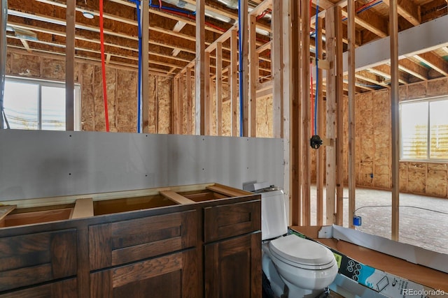 bathroom featuring plenty of natural light