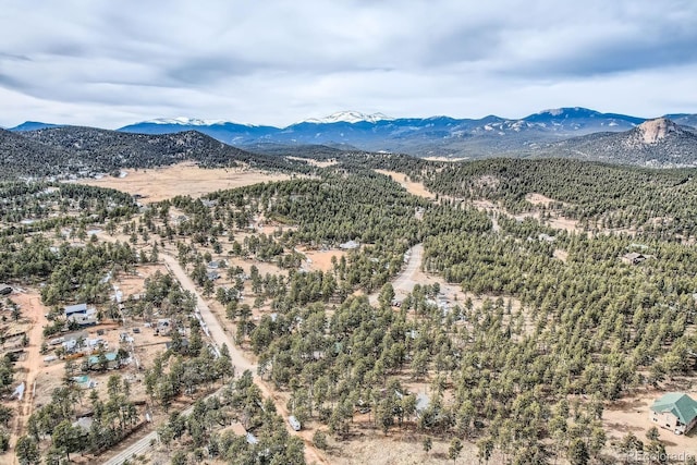 34886 Mohawk Trl, Pine, CO 80470 - view of mountain backdrop