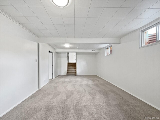 10371 Monterey Cir, Northglenn, CO 80260 - photo 21
