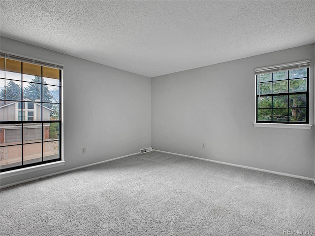 unfurnished room with plenty of natural light, carpet flooring, and a textured ceiling