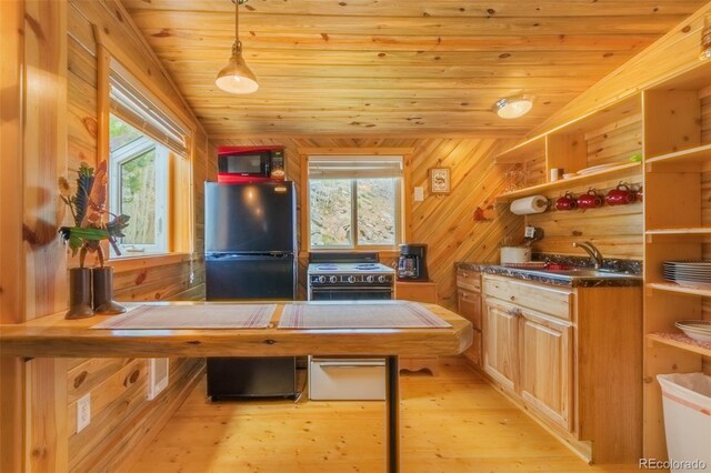 1450 Pine Ln Unit A, Grand Lake, CO 80447 - kitchen featuring open shelves, plenty of natural light, a sink, wooden ceiling, and wooden walls
