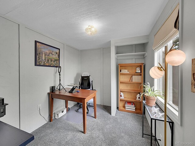 11434 W Roxbury Dr, Littleton, CO 80127 - photo 19