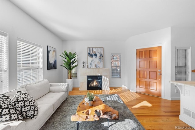 living room with a fireplace and hardwood / wood-style floors