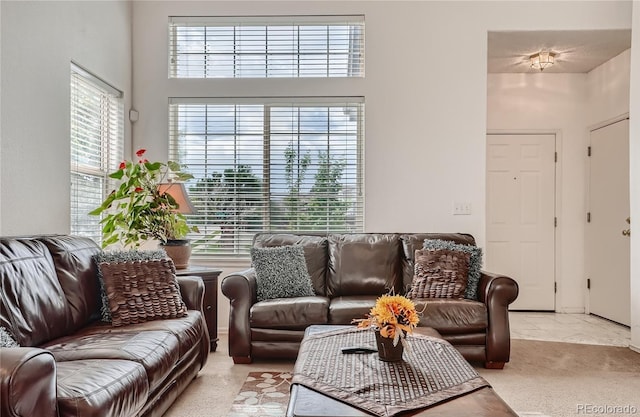 living room with light carpet