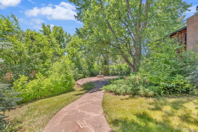 1 Lindenwood Dr, Littleton, CO 80120 - view of home's community