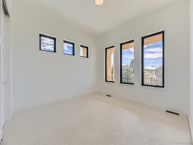 spare room featuring light carpet