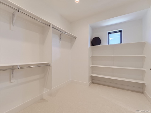 walk in closet featuring carpet flooring