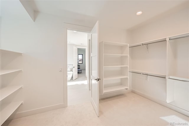 spacious closet with light carpet