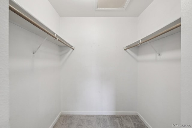 5731 W 92nd Ave Unit 125, Westminster, CO 80031 - photo 13
