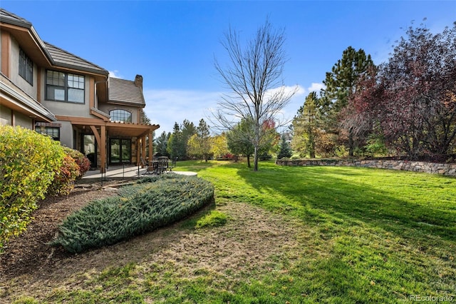 view of yard featuring a patio area