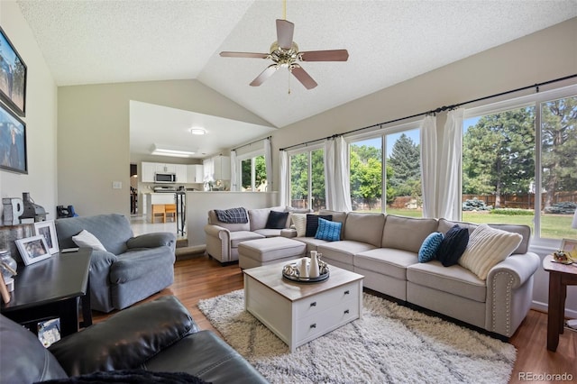 5552 S Lisbon Ln, Centennial, CO 80015 - living area featuring light wood-style flooring, healthy amount of natural light, vaulted ceiling, a ceiling fan, and a textured ceiling