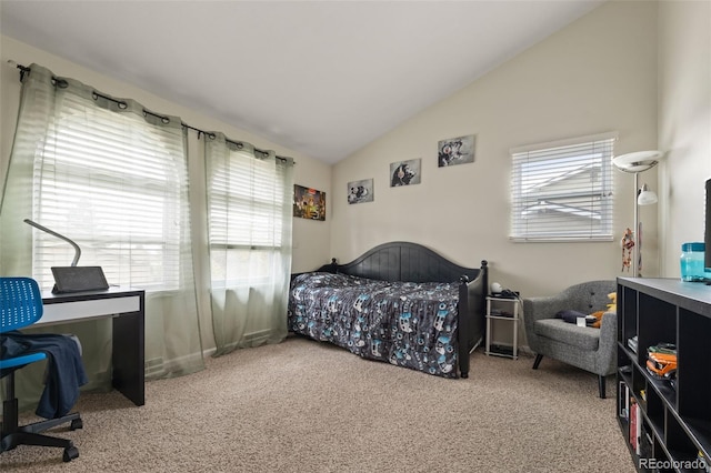 6854 S Willow St, Centennial, CO 80112 - bedroom with carpet flooring and vaulted ceiling