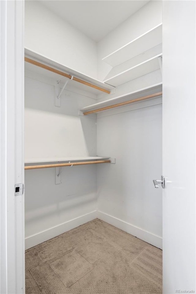 walk in closet featuring carpet