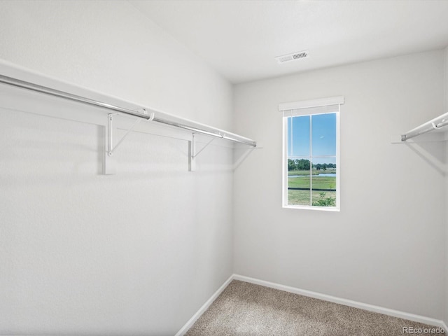 1616 Riverplace Dr Unit 3, Windsor, CO 80550 - photo 26