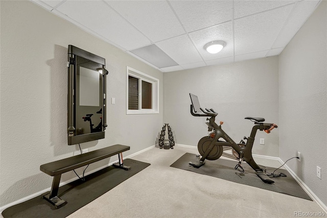 exercise room featuring carpet flooring and a drop ceiling