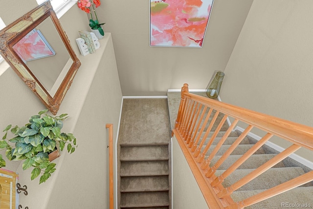 staircase with carpet flooring