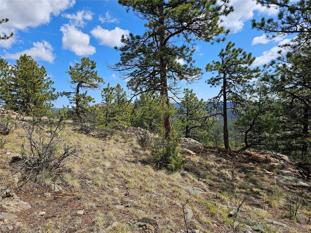 000 Dick Mountain Dr, Bailey, CO 80421 - photo 4
