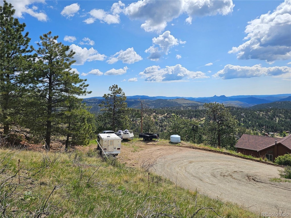 000 Dick Mountain Dr, Bailey, CO 80421 - photo 3