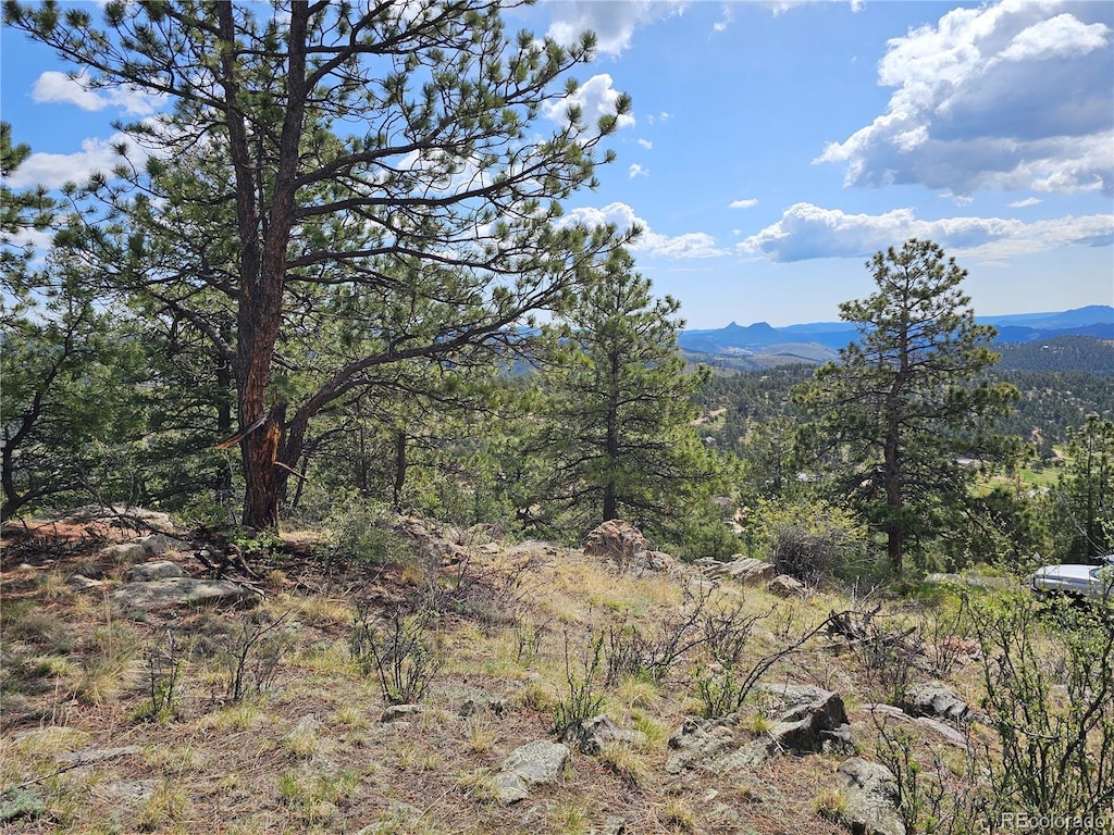 000 Dick Mountain Dr, Bailey, CO 80421 - photo 1