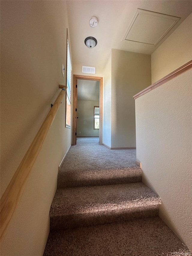 stairs with carpet flooring and visible vents