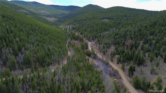000 Trail Creek Rd, Idaho Springs, CO 80452