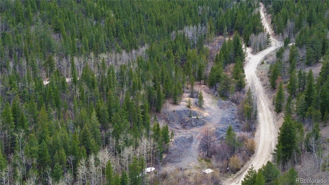 000 Trail Creek Rd, Idaho Springs, CO 80452