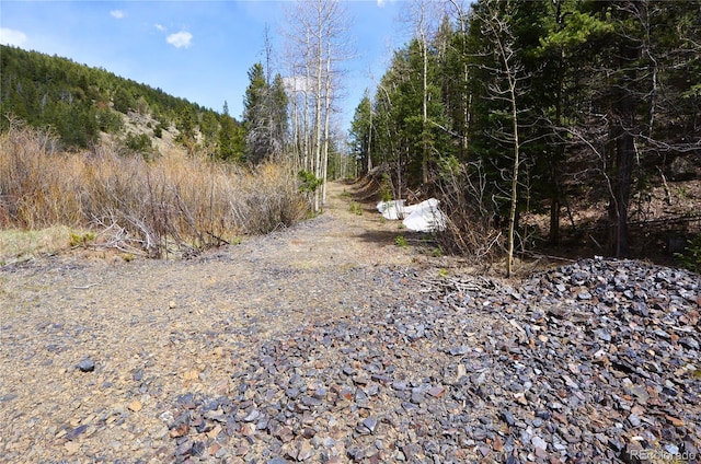 000 Trail Creek Rd, Idaho Springs, CO 80452