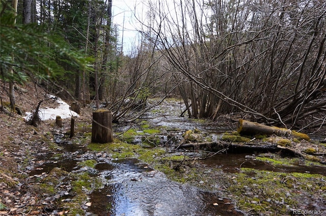 000 Trail Creek Rd, Idaho Springs, CO 80452