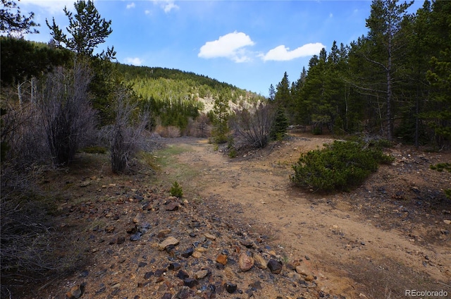 000 Trail Creek Rd, Idaho Springs, CO 80452